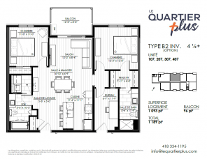 Type B2 Inv. (option)